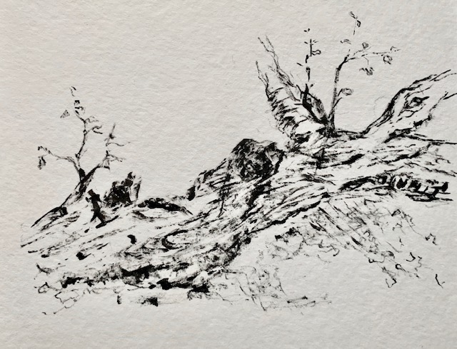 A black and white drawing of trees on top of a hill.