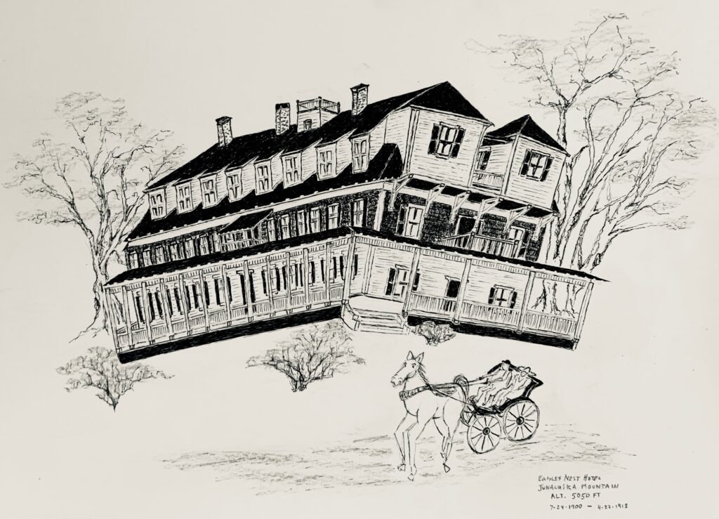 A drawing of a house with a carriage and horse.